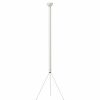 * Classical Flos Luminator Floor Lamp Floor Lamps